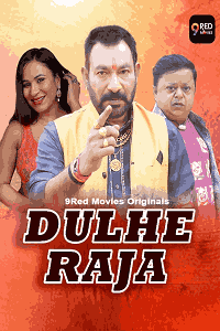 Dulhe Raja Download & Watch Now